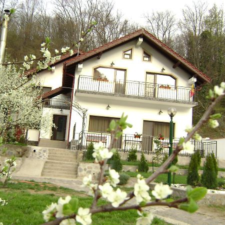 Pension Casa Natura Băile Herculane Exterior foto