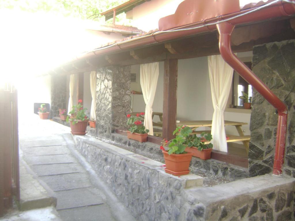 Pension Casa Natura Băile Herculane Exterior foto