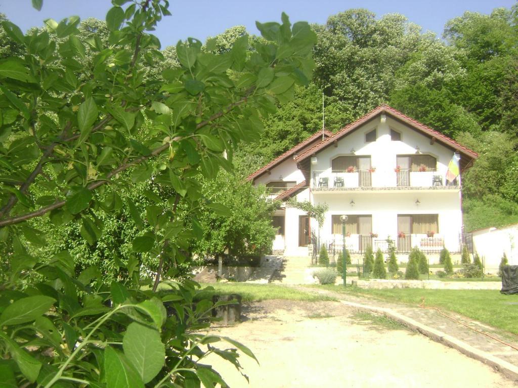Pension Casa Natura Băile Herculane Exterior foto